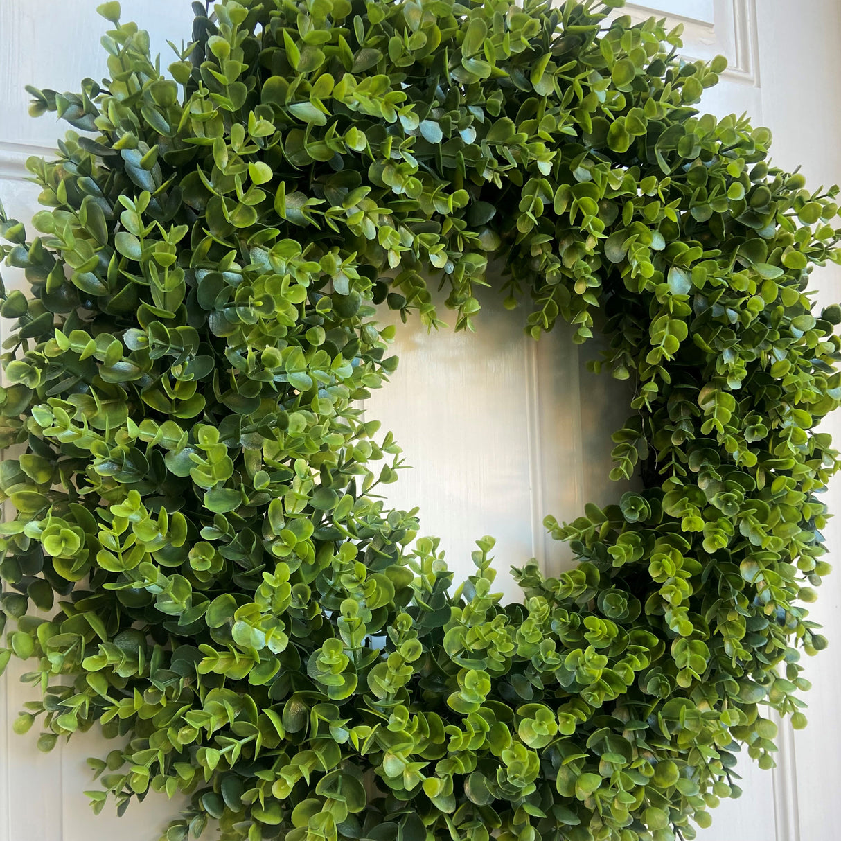 24 Inch Premium Artificial Boxwood Wreath - 100% Recycled Plastic & Natural Grapevine