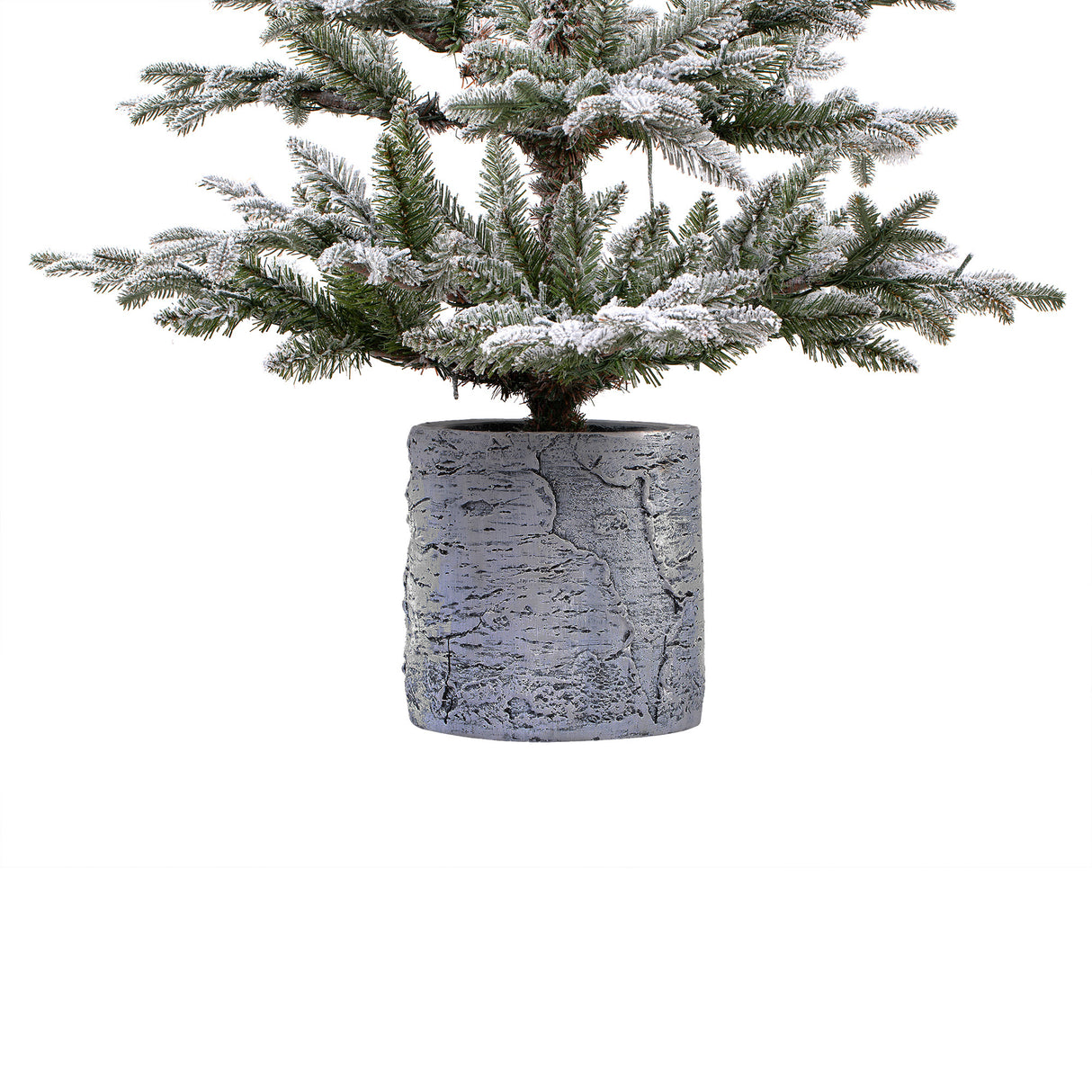 5 Foot Prelit Flocked Timberland Fir Potted Christmas Tree