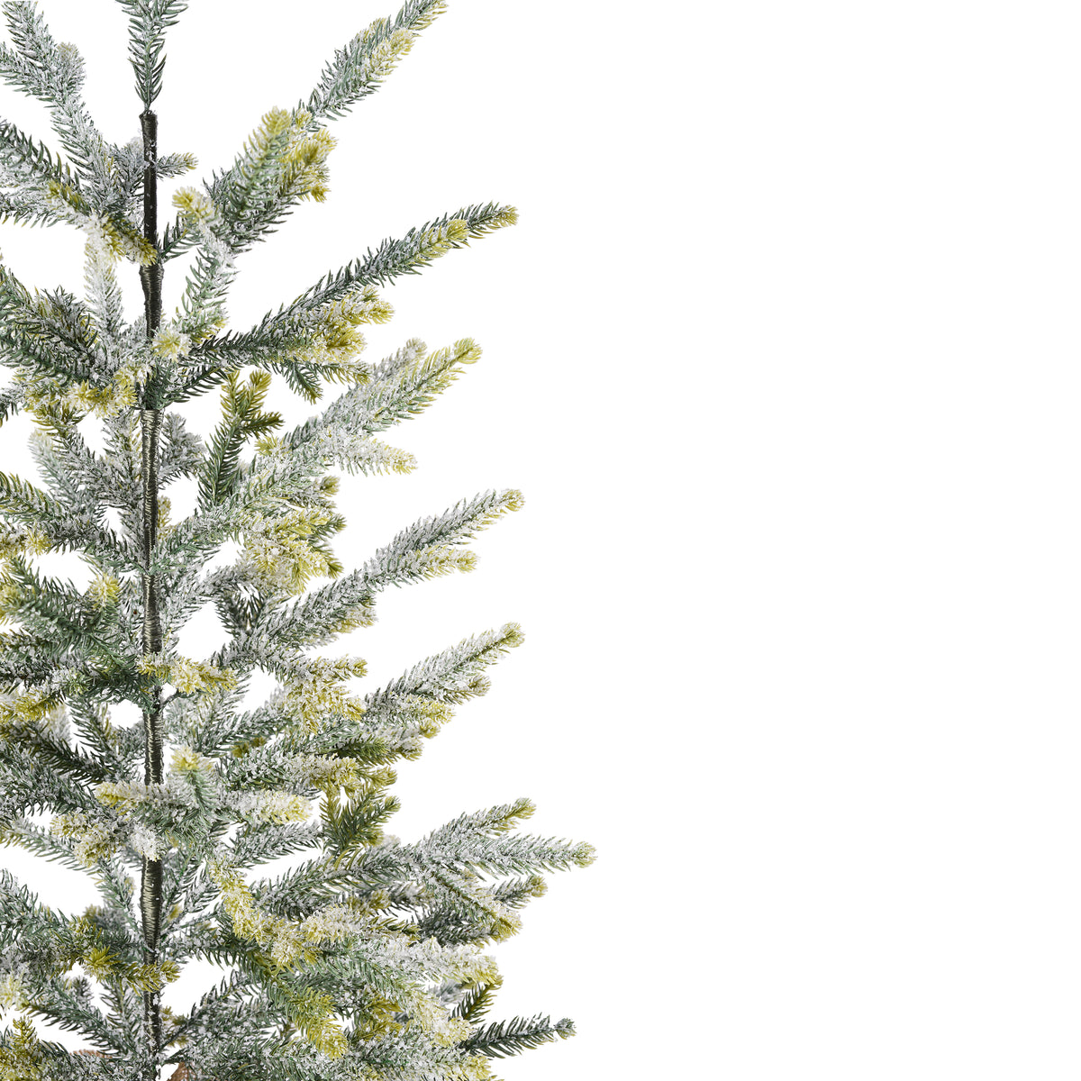 Frosted Fraser Fir 30 Inch Tall Unlit Tabletop Tree with Wrapped Burlap Base