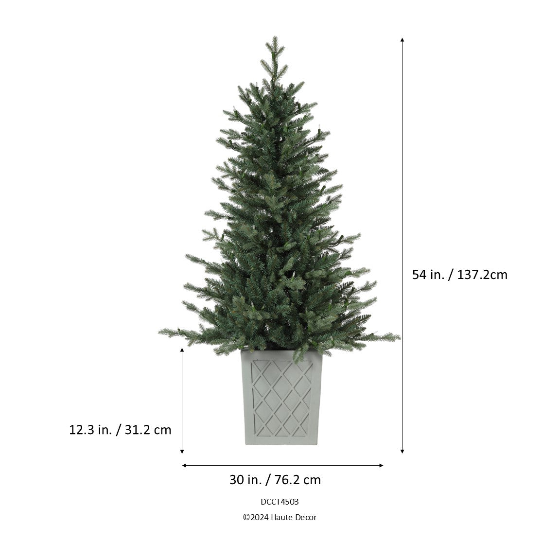 4.5 Foot Barcelona Blue Spruce Potted Tree