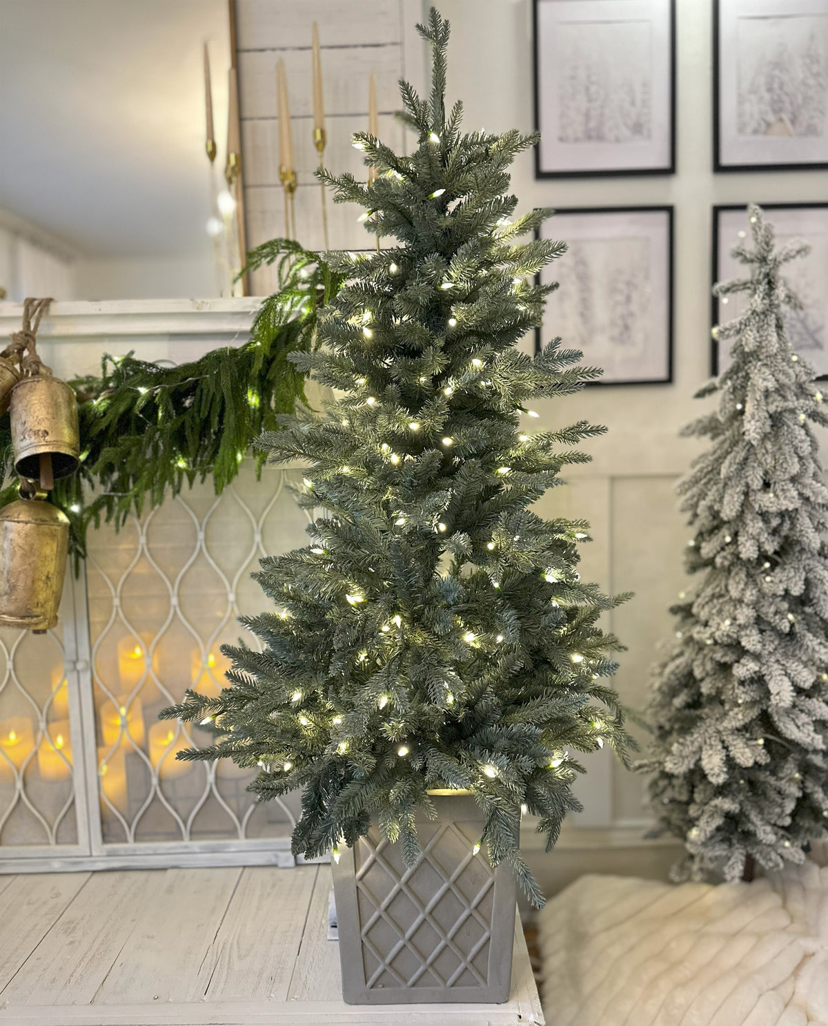4.5 Ft. Barcelona Blue Spruce Potted Tree (Set of 2)