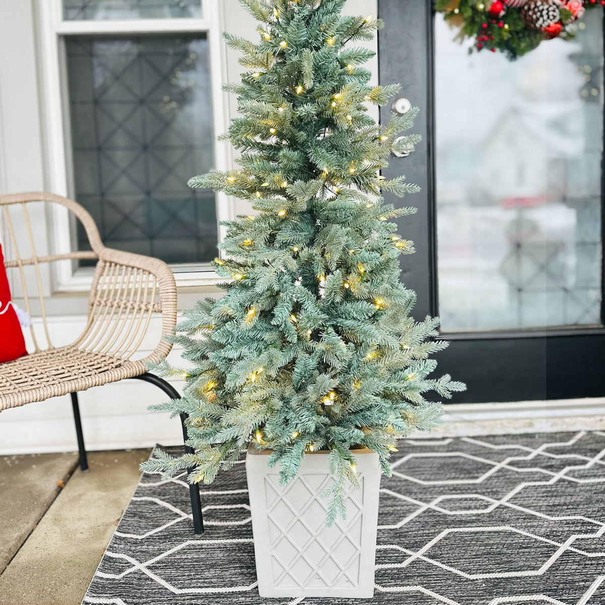 4.5 Ft. Barcelona Blue Spruce Potted Tree (Set of 2)