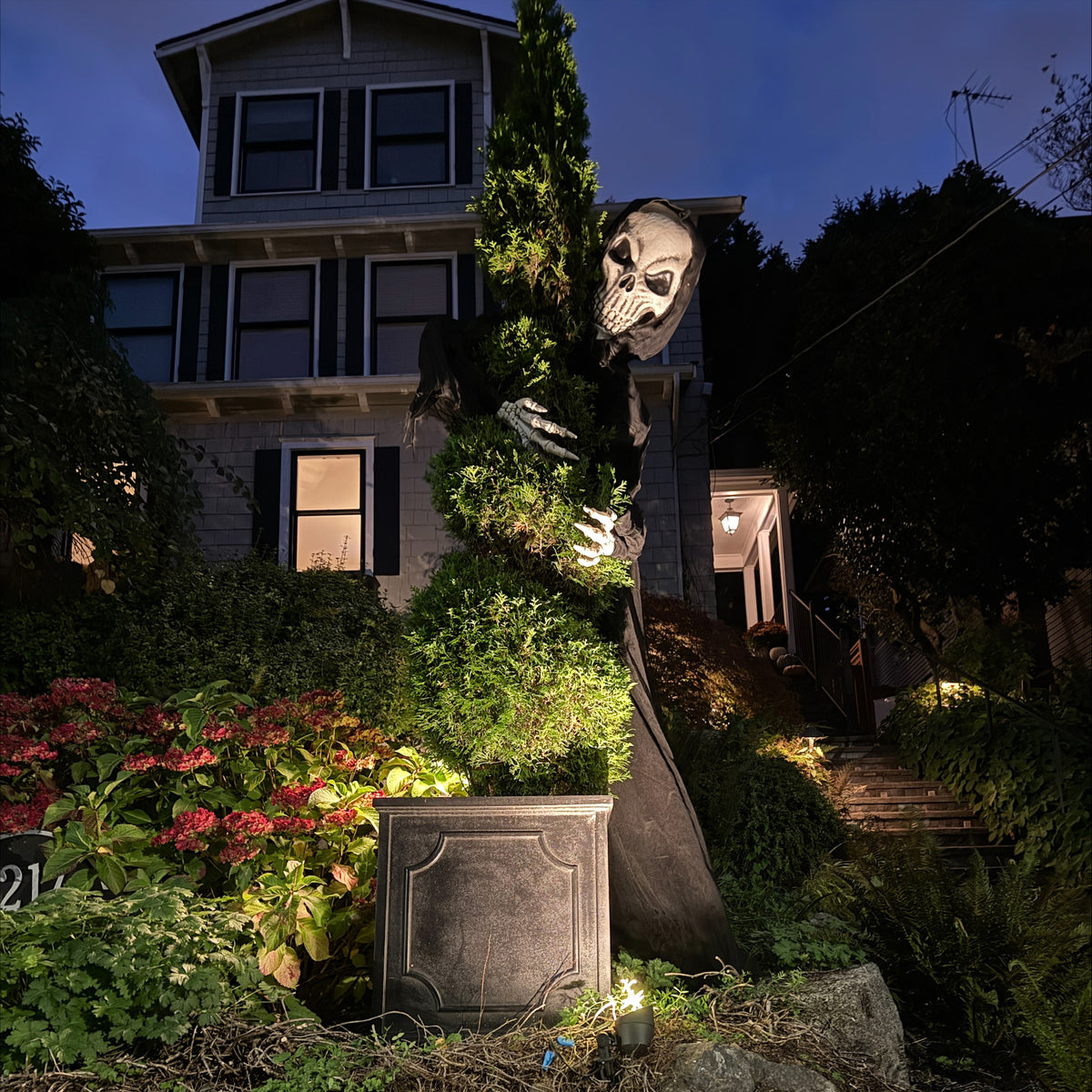 Tree Huggerz 8 Foot Tall Halloween Skeleton in Black Robe
