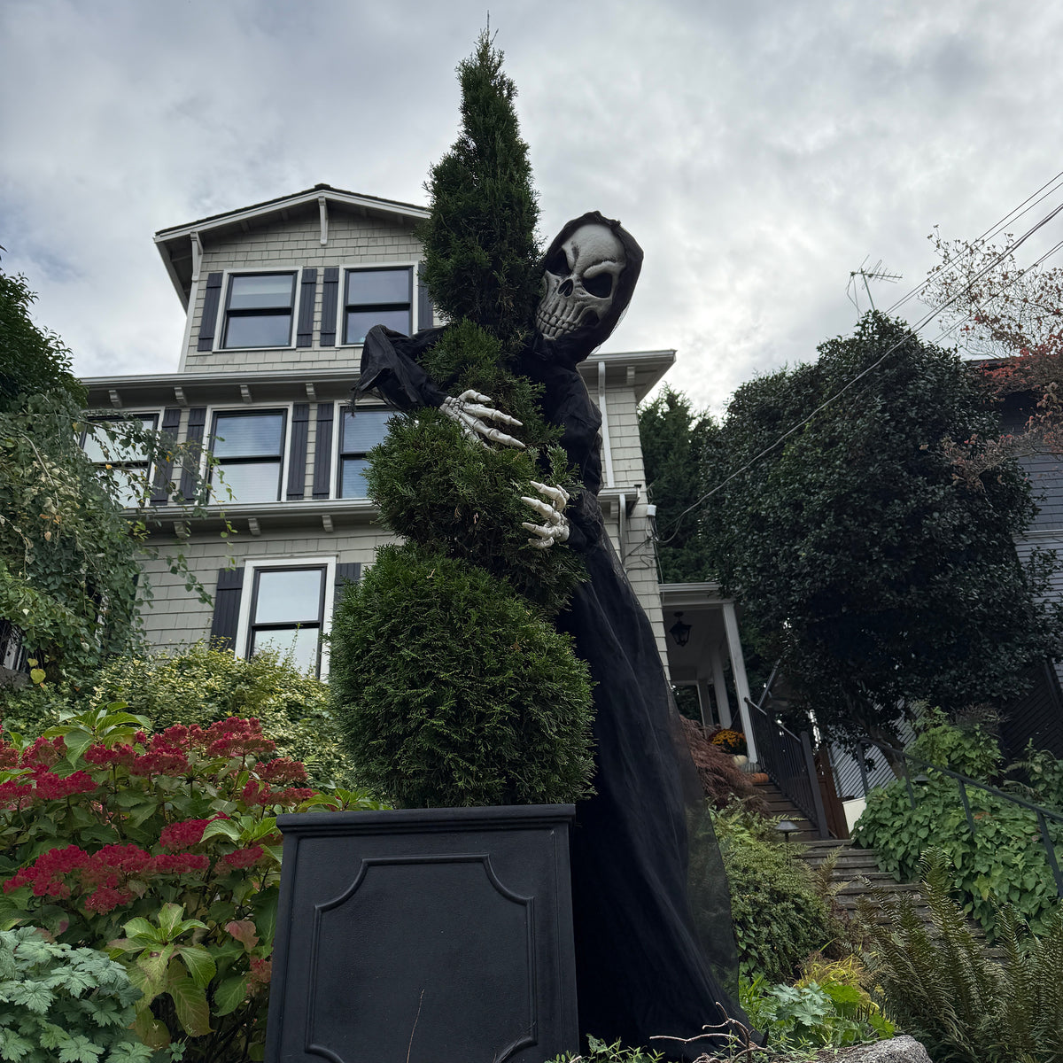 Tree Huggerz 8 Foot Tall Halloween Skeleton in Black Robe