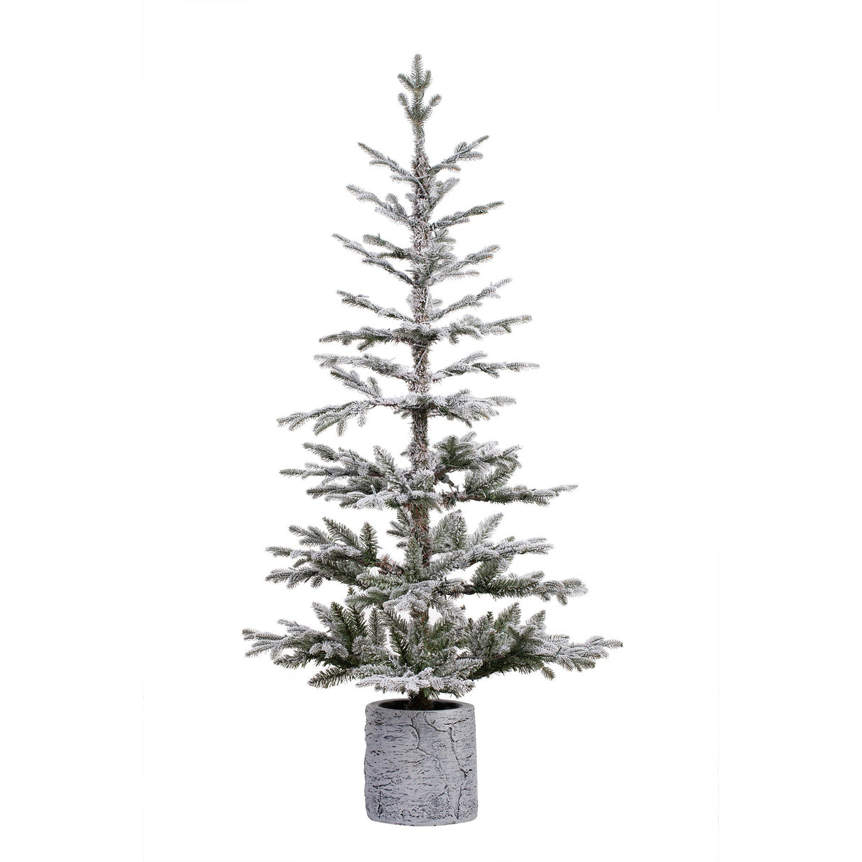 Christmas Tree - 5 Foot Prelit Flocked Timberland Fir Potted Christmas Tree
