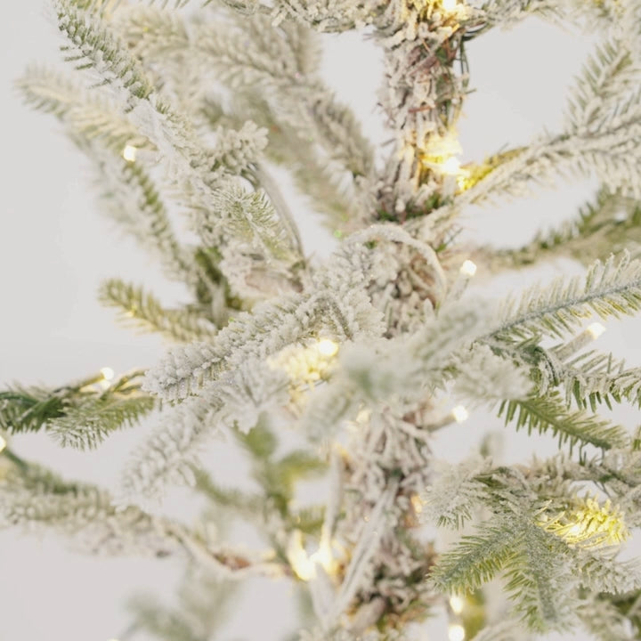 5 Foot Prelit Flocked Timberland Fir Potted Christmas Tree