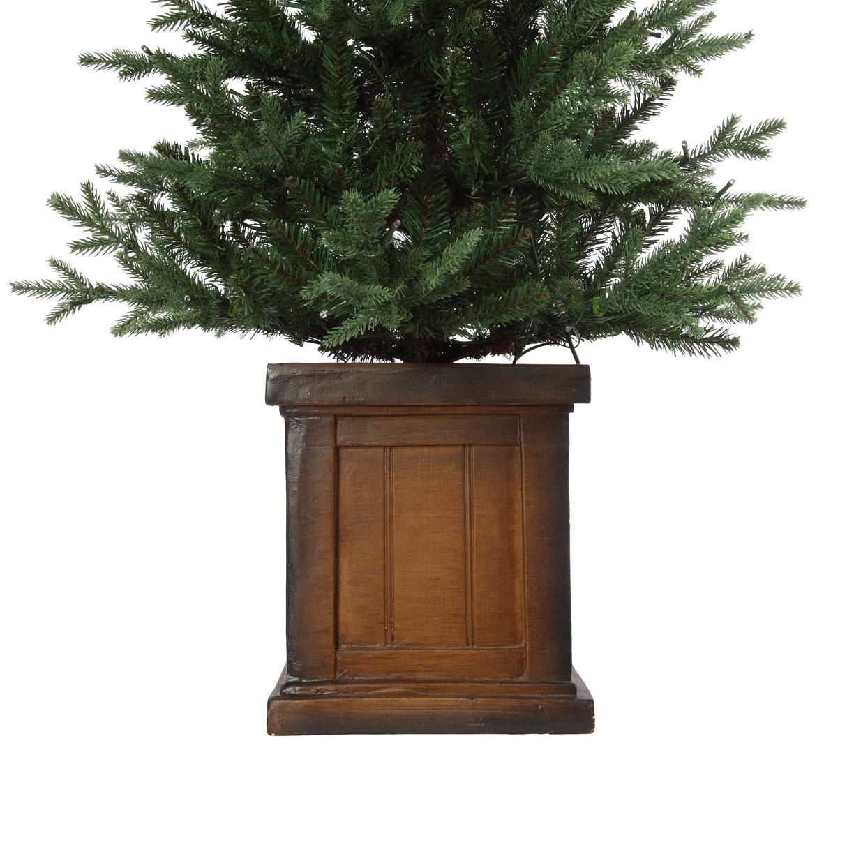4.5' New Haven Fraser Fir Potted Tree