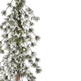 Snow Capped 24 Inch Tall Unlit Alpine Tree with Wrapped Burlap Base