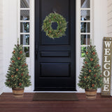 4 Foot Tall Whiskey Barrel Potted Trees with Real Pinecones (Set of 2 Potted Trees)