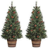 4 Foot Tall Whiskey Barrel Potted Trees with Real Pinecones (Set of 2 Potted Trees)