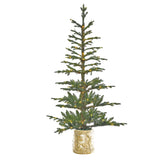 5 Foot Pre-lit Timberland Fir Potted Christmas Tree