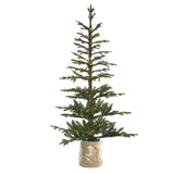 5 Foot Pre-lit Timberland Fir Potted Christmas Tree