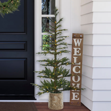 5 Foot Pre-lit Timberland Fir Potted Christmas Tree