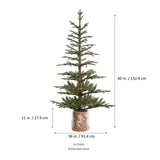 5 Foot Pre-lit Timberland Fir Potted Christmas Tree