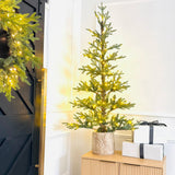 5 Foot Pre-lit Timberland Fir Potted Christmas Tree