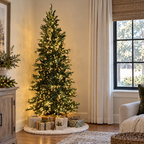 7 Foot Pre-lit Asheville Slim Christmas Tree