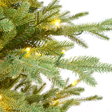 7 Foot Pre-Lit Alberta Alpine Fir Christmas Tree with 400 Warm White LED Lights