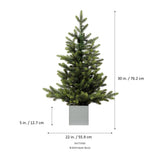 30 Inch Unlit Fraser Fir Potted Tree in Wooden Pot