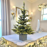 30 Inch Prelit Fraser Fir Potted Tree in Wooden Pot