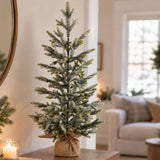 Frosted Fraser Fir 30 Inch Tall Unlit Tabletop Tree with Wrapped Burlap Base