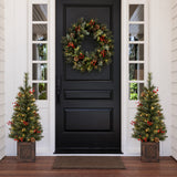Brookfield 3.5 Foot Tall Potted Porch Trees - Set of 2 Trees