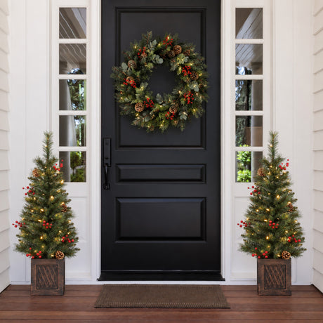 Brookfield 3.5 Foot Tall Potted Porch Trees - Set of 2 Trees