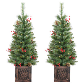Brookfield 3.5 Foot Tall Potted Porch Trees - Set of 2 Trees