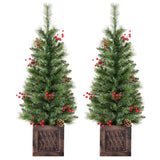 Brookfield 3.5 Foot Tall Potted Porch Trees - Set of 2 Trees