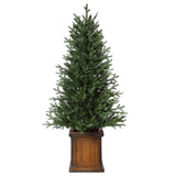 New Haven Fraser Fir 4.5 Ft. Potted Tree (Set of 2)