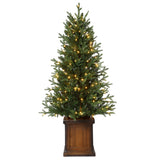 New Haven Fraser Fir 4.5 Ft. Potted Tree (Set of 2)