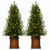 New Haven Fraser Fir 4.5 Ft. Potted Tree (Set of 2)