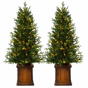 New Haven Fraser Fir 4.5 Ft. Potted Tree (Set of 2)