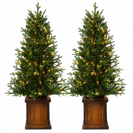 New Haven Fraser Fir 4.5 Ft. Potted Tree (Set of 2)