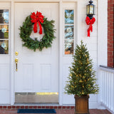 New Haven Fraser Fir 4.5 Ft. Potted Tree (Set of 2)