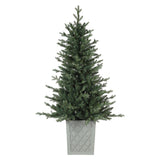 4.5 Ft. Barcelona Blue Spruce Potted Tree (Set of 2)