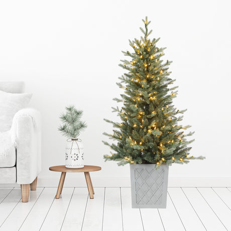 4.5 Ft. Barcelona Blue Spruce Potted Tree (Set of 2)