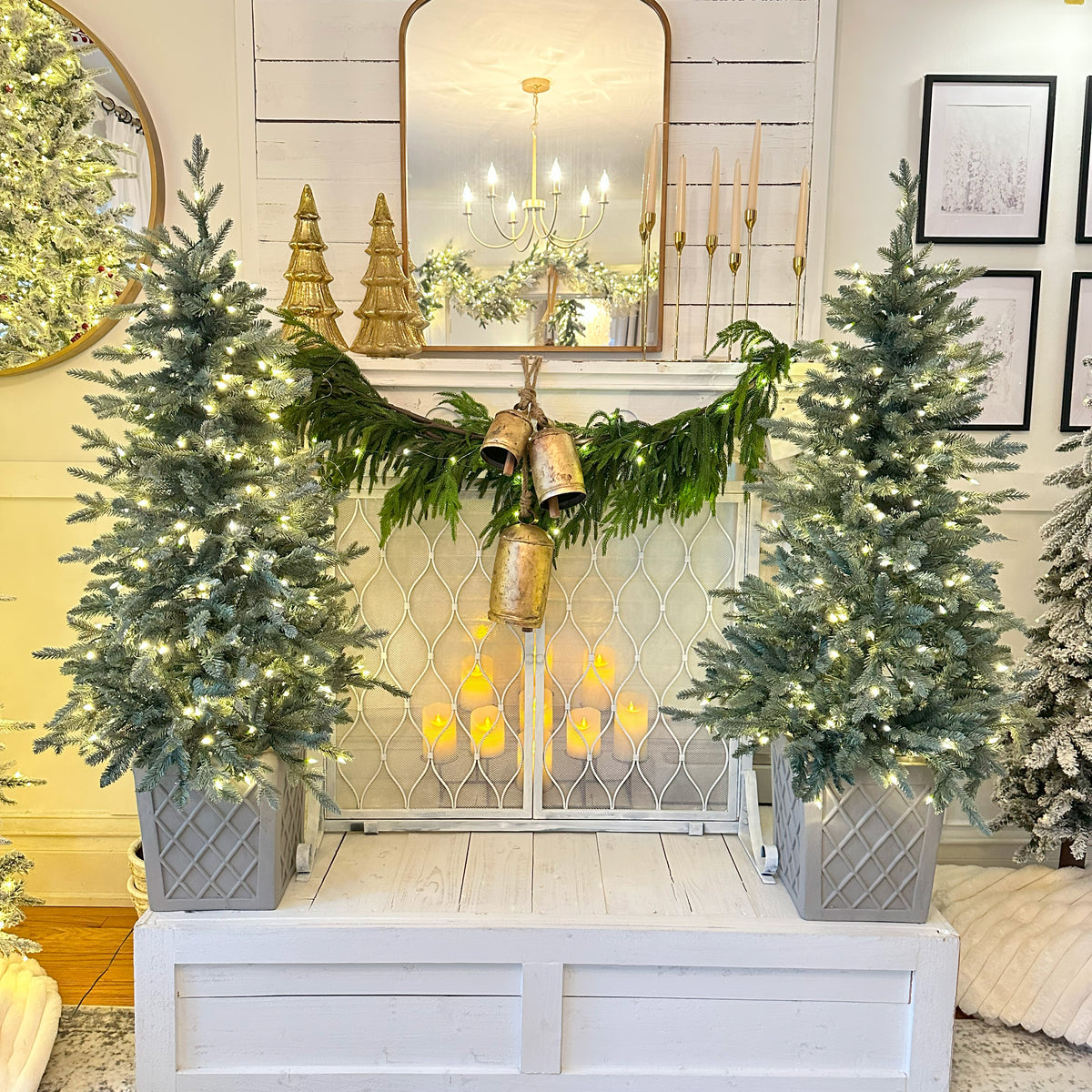4.5 Ft. Barcelona Blue Spruce Potted Tree (Set of 2)