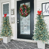 4.5 Ft. Barcelona Blue Spruce Potted Tree (Set of 2)