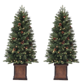 4.5 Ft. Brookdale Fir Potted Porch Tree (Set of 2)