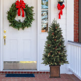 4.5 Ft. Brookdale Fir Potted Porch Tree (Set of 2)
