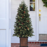 4.5 Ft. Brookdale Fir Potted Porch Tree (Set of 2)