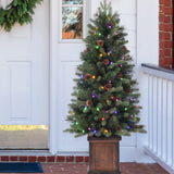 4.5 Ft. Brookdale Fir Potted Porch Tree (Set of 2)