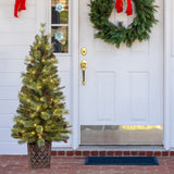 4.5 Foot Pre-Lit Evergreen Potted Porch Tree with 100 Warm White LED Lights, Red Berries, Real Pinecones