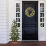 4.5 Ft. Alberta Alpine Potted Tree with 120 Warm White LED Lights - Twinkle and Steady Light Functions, Battery-Operated with Timer