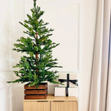 4.5 Ft. Alberta Alpine Potted Tree with 120 Warm White LED Lights - Twinkle and Steady