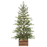 4.5 Ft. Alberta Alpine Potted Tree with 120 Warm White LED Lights - Twinkle and Steady Light Functions, Battery-Operated with Timer