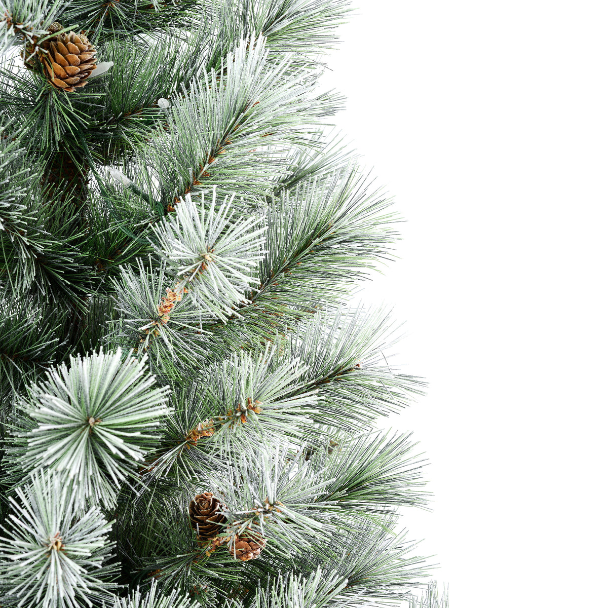 4.5 Ft. Silverwood Pine Potted Porch Tree