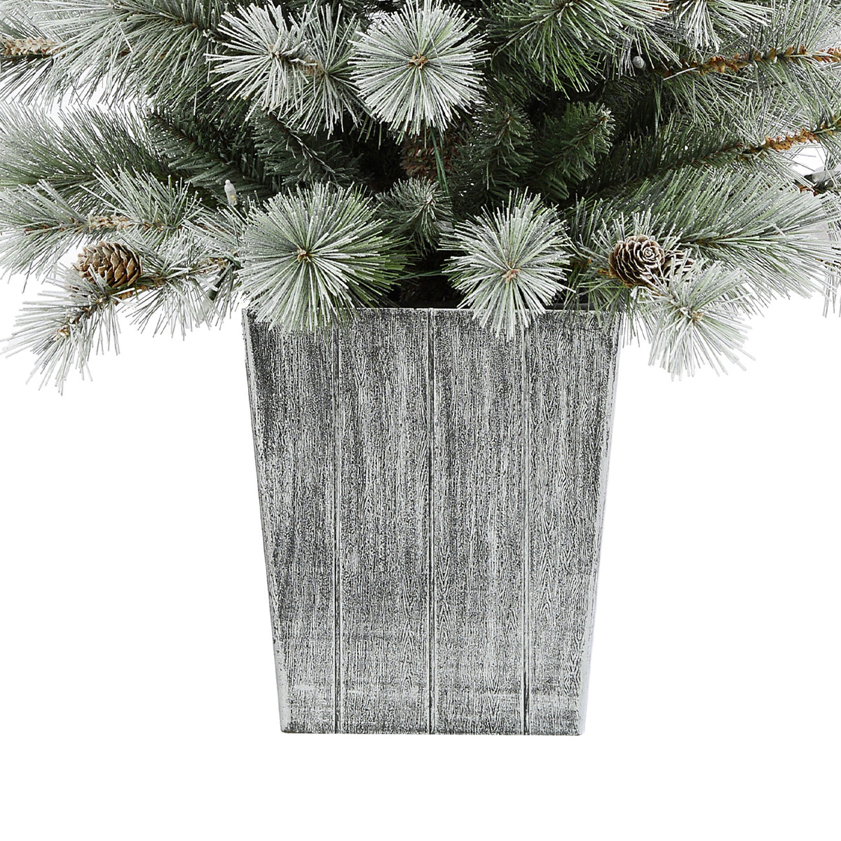4.5 Ft. Silverwood Pine Potted Porch Tree