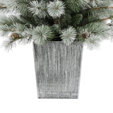 4.5 Ft. Silverwood Pine Potted Porch Tree