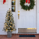4.5 Ft. Silverwood Pine Potted Porch Tree